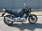 Moto année 2005, Motos, Plus de 35 kW, 2 cylindres, 500 cm³, Manuelle