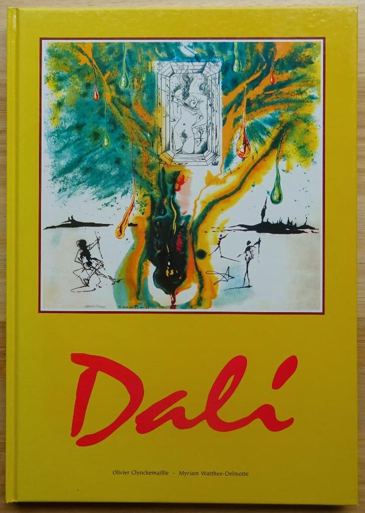 Dali, MBA Mouscron 2000, Livres, Art & Culture | Arts plastiques, Comme neuf, Peinture et dessin, Enlèvement ou Envoi