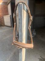 Halster paard, Dieren en Toebehoren, Ophalen of Verzenden, Gebruikt