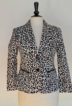 BETTY BARCLAY  (NEW  159,99€), Ophalen of Verzenden, Maat 36 (S), Jasje