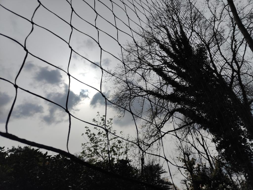 voetbalnet ballenvanger 10m x 4 m, Sport en Fitness, Voetbal, Ophalen, Zo goed als nieuw