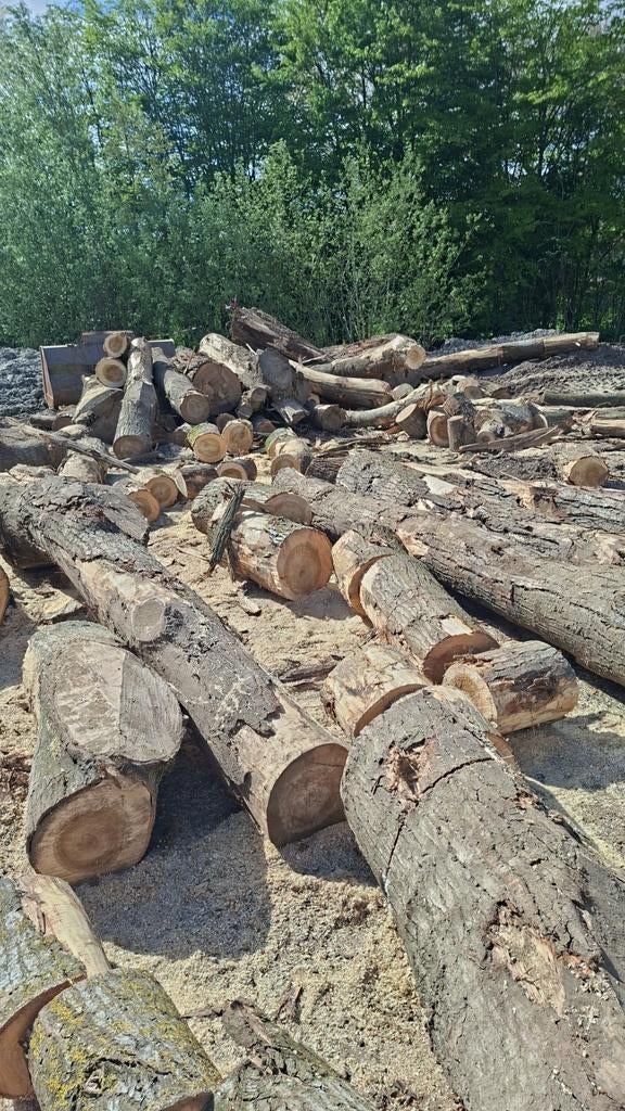 Brandhout, Enlèvement ou Envoi