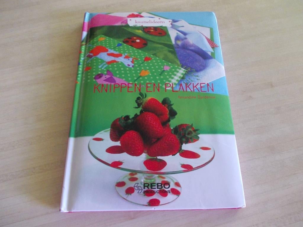 Boek Knippen en Plakken.  NIEUW., Ophalen of Verzenden, Nieuw, Knutselen