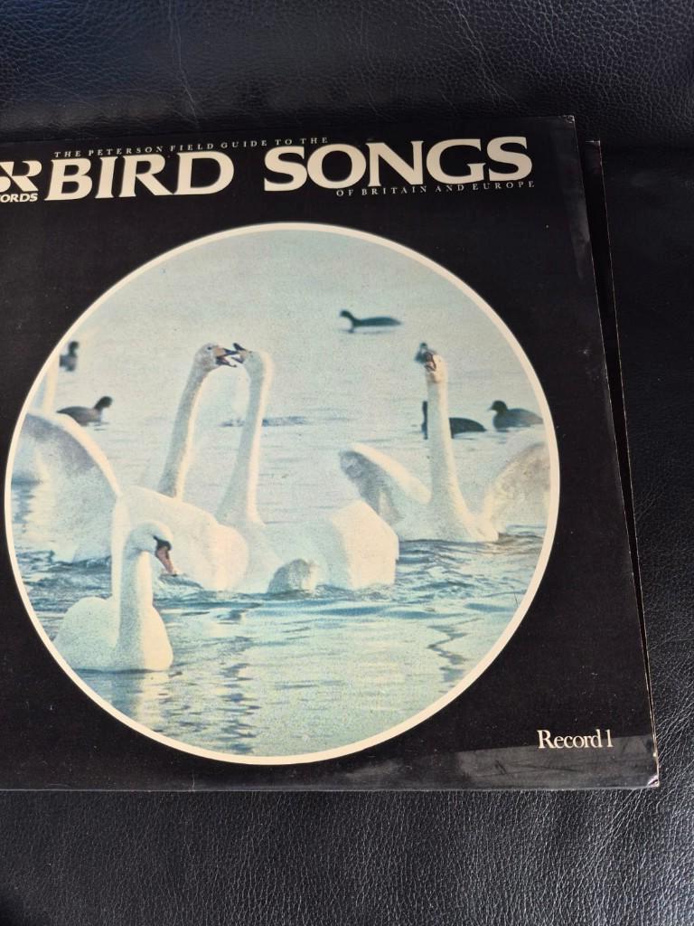 Bird songs (vogel geluid )  elpee's vinyl, Ophalen of Verzenden, Zo goed als nieuw, 12 inch, Overige genres