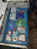 Cage à Hamster + accessoires, Moins de 60 cm, Cage, Comme neuf, Hamster