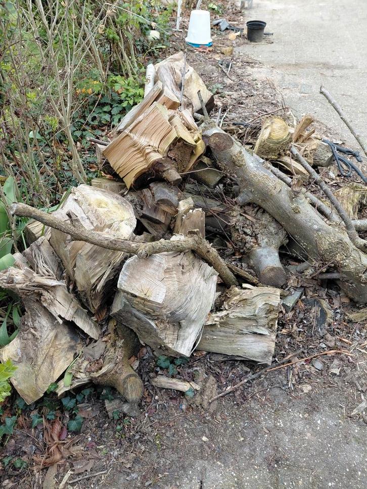 Grote houtblokken voor voorschaal/ vuurkorf/ kampvuur, Tuin en Terras, Brandhout, Blokken, Ophalen