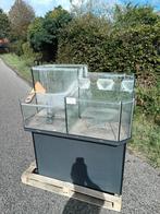 Eiland aquarium opgedeeld in 4 dmv overloop, vissen, koralen, Dieren en Toebehoren, Ophalen, Gebruikt, Leeg aquarium