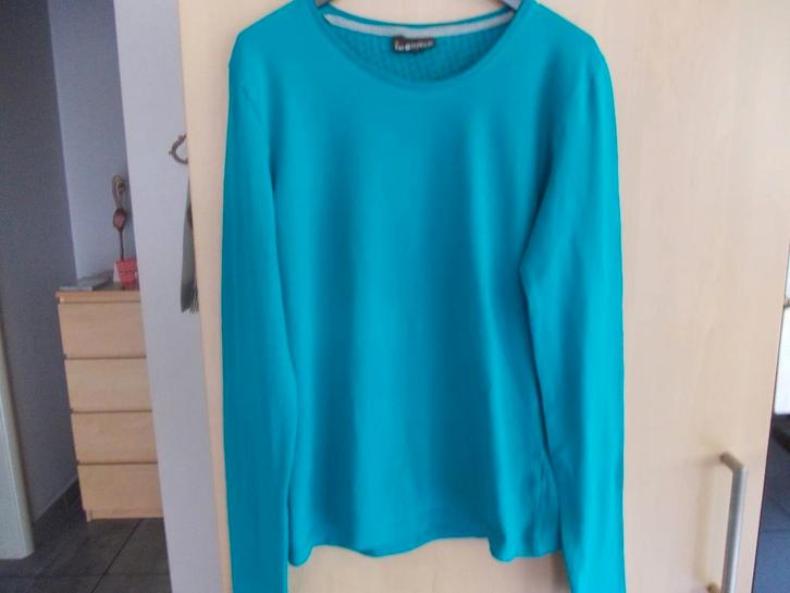 Tshirts, verschillende Merken.  maat XS en Maat S., Vêtements | Femmes, T-shirts, Comme neuf, Taille 34 (XS) ou plus petite, Autres couleurs