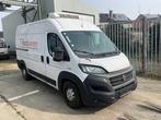 Fiat 250 camion frigorifère 2020, Autos, Autres modèles, Achat, Euro 6, Entreprise