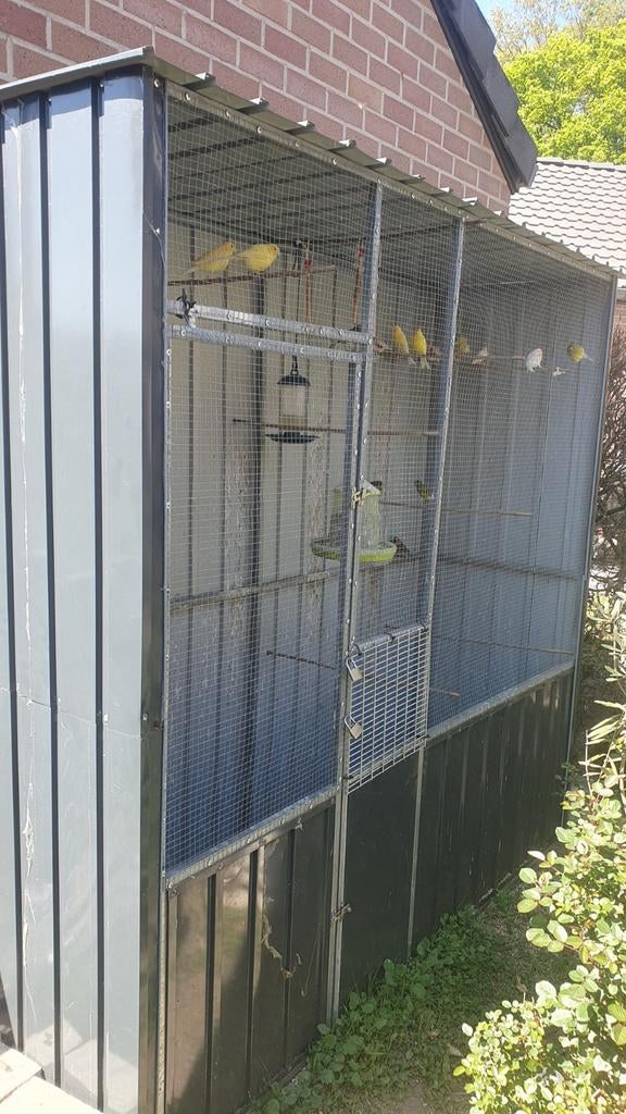 Volière/cage à oiseaux, Animaux & Accessoires, Oiseaux | Cages & Volières, Enlèvement, Cage à oiseaux