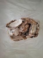 gratis / lege oesterschelpen / gewassen, Ophalen, Gebruikt