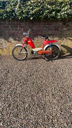 Honda Novio, Vélos & Vélomoteurs, Autres marques, 1 vitesses, 49 cm³, Classe B (45 km/h)