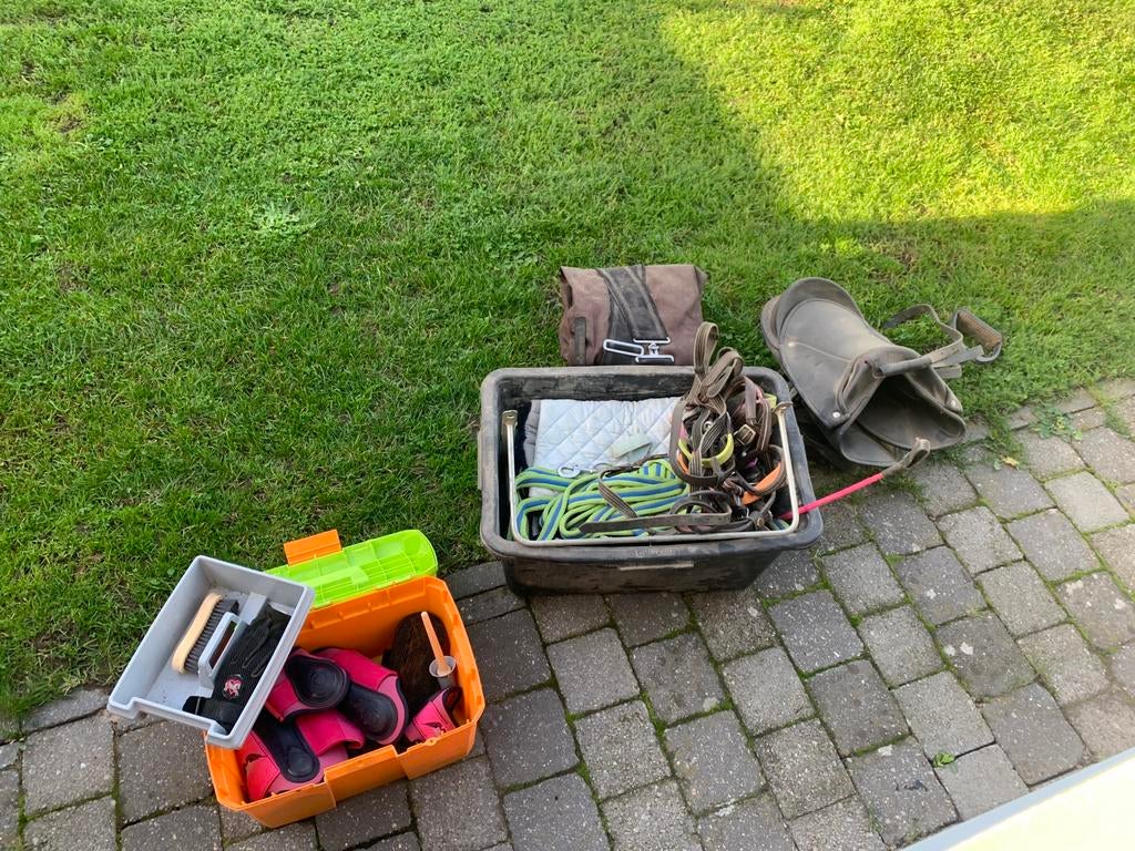 Pony, Dieren en Toebehoren, Ophalen, Gebruikt