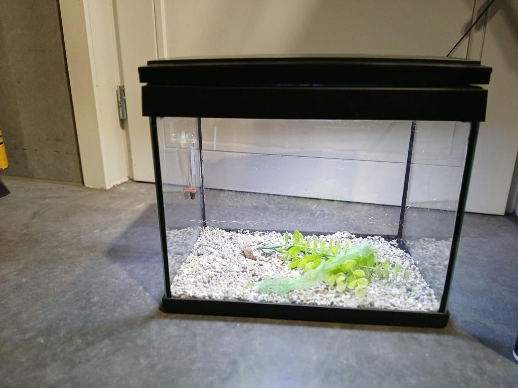 Aquarium met filter en toebehoren, Ophalen, Inclusief toebehoren, Gebruikt, Filter