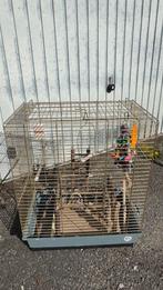 Papegaaien kooi, Dieren en Toebehoren, Vogels | Hokken en Kooien, Ophalen, Zo goed als nieuw
