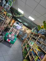 Reptielen- Amfibieën- terrariums- voedseldieren en meer!, Dieren en Toebehoren, Reptielen en Amfibieën, Amfibie