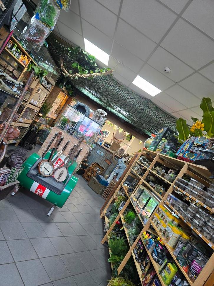 Reptielen- Amfibieën- terrariums- voedseldieren en meer!, Dieren en Toebehoren, Reptielen en Amfibieën, Amfibie