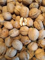 Walnoten, Ophalen