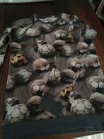 Long Sleeve wild 14 jaar, Ophalen of Verzenden, Gebruikt