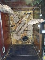 Repti home terrarium, Dieren en Toebehoren, Ophalen, Gebruikt, Terrarium of Paludarium