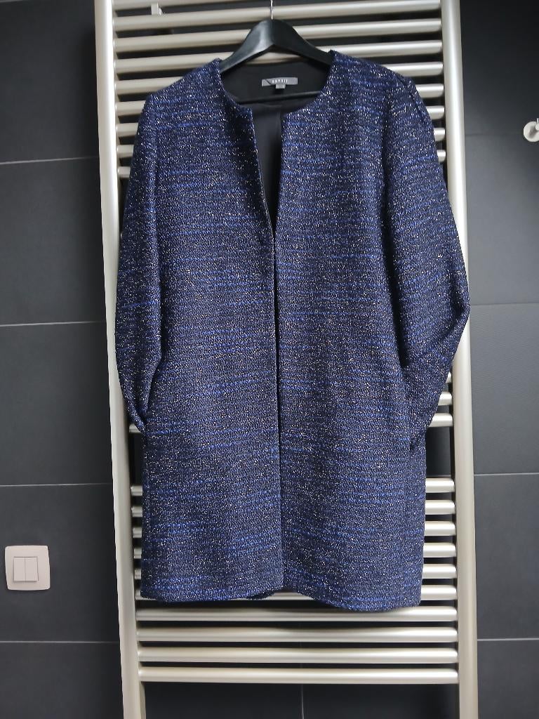 Magnifique manteau de fête neuf !, Vêtements | Femmes, Vestes | Hiver, Neuf, Taille 38/40 (M), Enlèvement ou Envoi, Autres couleurs