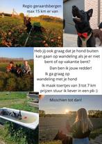 Info staat in de afbeelding x