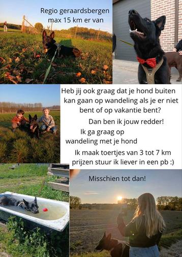 Info staat in de afbeelding x beschikbaar voor biedingen