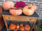 Pompoenen Bio, Tuin en Terras, Planten | Tuinplanten, Ophalen