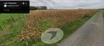 Landbouwgrond Lede (Smetlede), Zakelijke goederen, Landbouw | Onroerend goed, Ophalen, 1 tot 5 ha