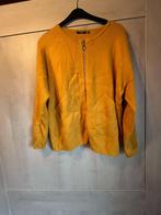 gilet titchini xl 48-50, Kleding | Dames, Grote Maten, Titchini, Ophalen of Verzenden, Gedragen, Trui of Vest