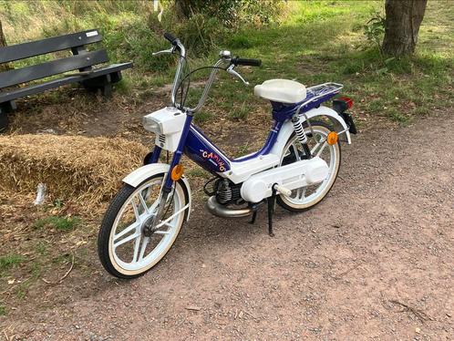 Honda camino paarse funny a klasse, Fietsen en Brommers, Brommers | Honda, Zo goed als nieuw, Overige modellen, Klasse A (25 km/u)