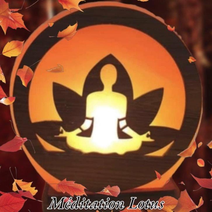 Lampe de sel Méditation Lotus 5kg 20cm de diamètre, Maison & Meubles, Lampes | Lampes de table, Neuf, Autres matériaux, Enlèvement ou Envoi