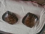 Carapaces ecaille de tortues, Ophalen