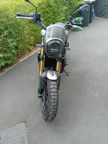 Benelli Leoncino 800 Trail beschikbaar voor biedingen