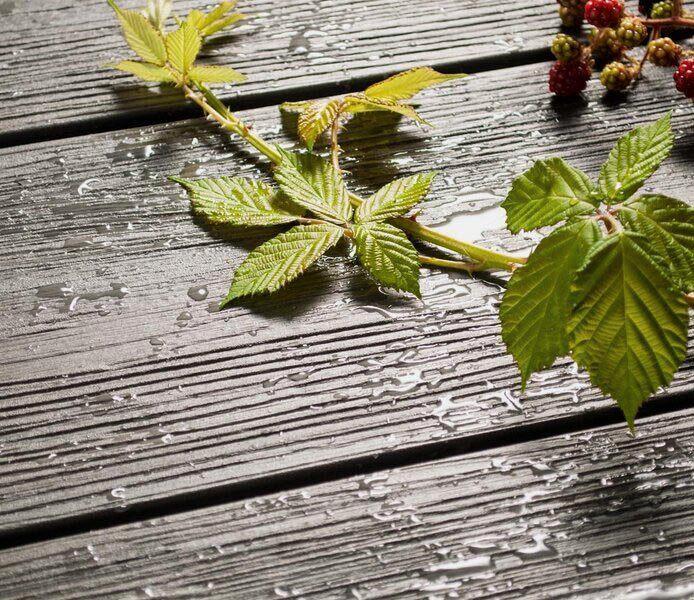 BPC VLONDERPLANKEN EBONY, Jardin & Terrasse, Terrasses, Neuf, Bambou, Enlèvement ou Envoi