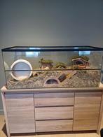 Hamsterkooi van goudhamster, Animaux & Accessoires, Rongeurs & Lapins | Accessoires, Enlèvement, Comme neuf