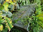 Plantenbak in lood, Ophalen, Gebruikt, 40 cm of meer, Vierkant
