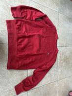 Vivienne Westwood man - klassiek rood - Orgl logo trui maat, Ophalen of Verzenden, Zo goed als nieuw, Rood