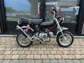 DAX 50CC B - KASSE - GCRAFT, 12”, USD…