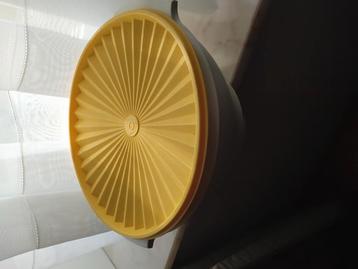 Grote pot van tupperware met zonnedeksel als afsluiter beschikbaar voor biedingen