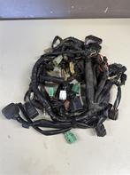 Suzuki VL800 C800 Kabelboom compleet 2005 - 2011, Motoren, Accessoires | Overige, Ophalen of Verzenden, Zo goed als nieuw