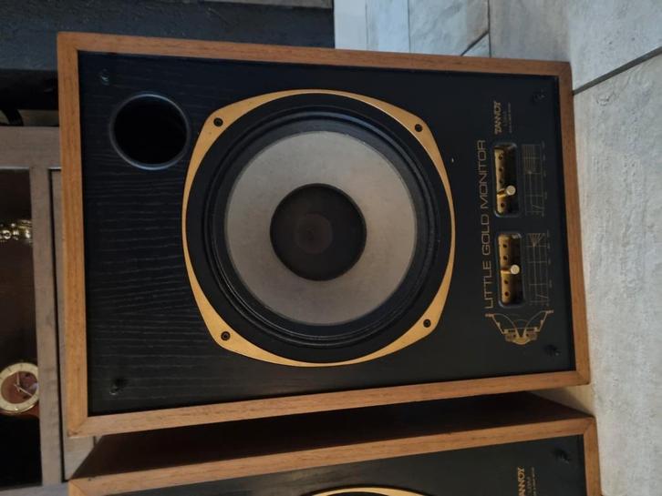 Tannoy LGM, Audio, Tv en Foto, Luidsprekerboxen, Zo goed als nieuw, Ophalen