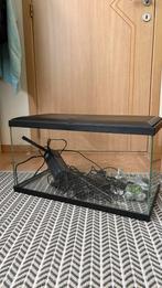 60 liter aquarium met hele set, Animaux & Accessoires, Poissons | Aquariums & Accessoires, Enlèvement, Comme neuf