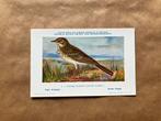 Vogels van België Nr. 1 Grote Pieper, Ophalen of Verzenden, Ongelopen, Vogel