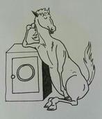 paardendekens wassen impregneren , repareren, Ophalen of Verzenden, Zo goed als nieuw, Deken