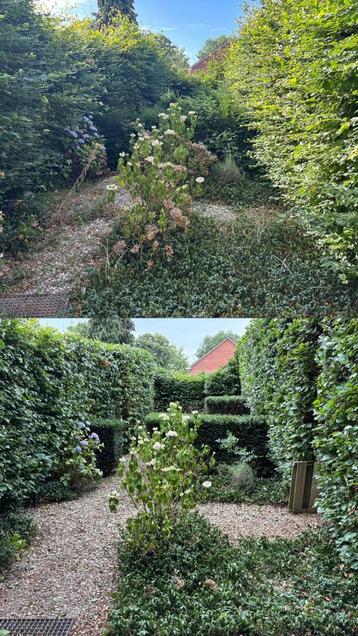 Tuinman tuinwerken beschikbaar voor biedingen