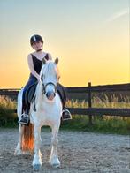 Brave kinderpony, Dieren en Toebehoren, Pony's, Merrie, C pony (1.27m tot 1.37m), Recreatiepony, 7 tot 10 jaar