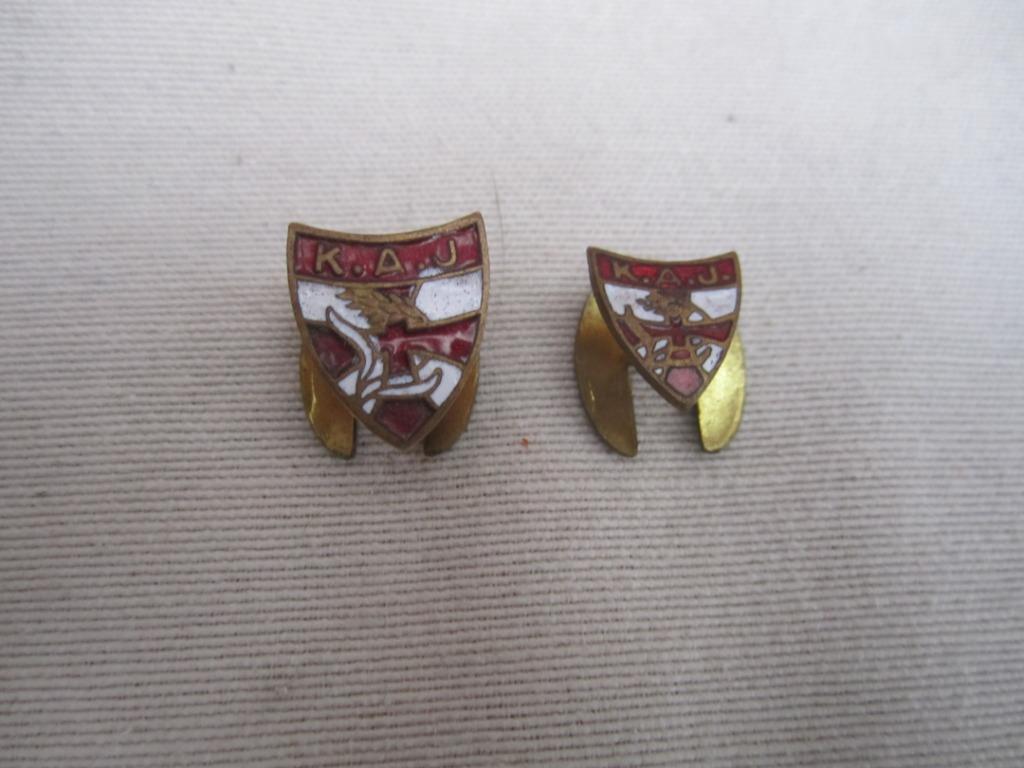 emaille speldje K.A.J, Ophalen of Verzenden, Gebruikt, Sieraad