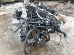 MOTOR Ford Focus 4 (01-2018/12-2025) (C10FD0X), Gebruikt, Ford