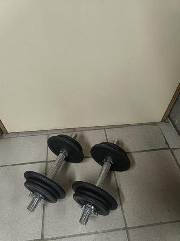 Metalen dumbbellset 20 kg beschikbaar voor biedingen